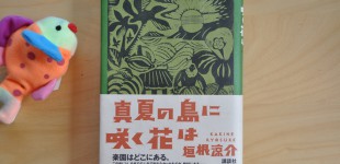 真夏の島に咲く花は