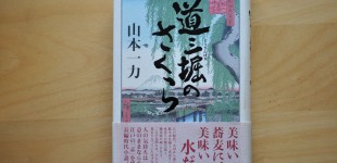 道三堀のさくら