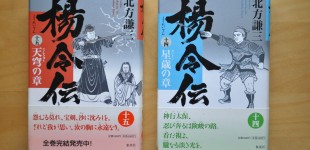 楊令伝14&15「星歳の章」「天穹の章」