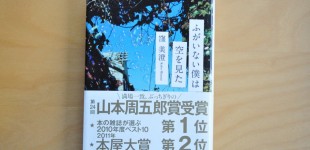 ふがいない僕は空を見た