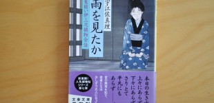 「雨を見たか」髪結い伊三次捕物余話7